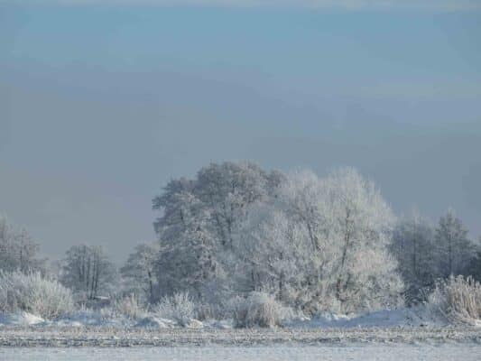 Winter 0209002